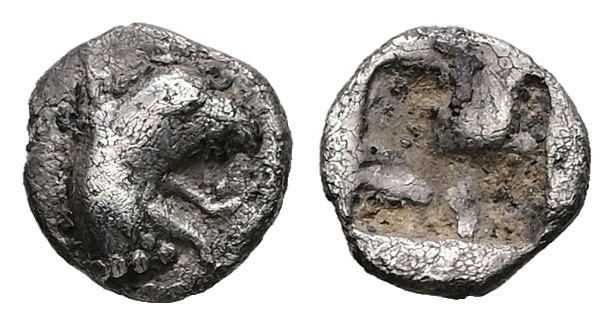 Ionia, Phokaia. AR Tetartemorion, 0.21 g 6.39 mm. Circa 530-510 BC.
Obv: Head of...