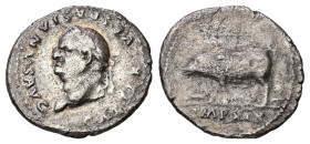 Vespasian, 69-79 AD. AR, Denarius. 2.88 g. 18.69 mm. Rome.
Obv: CAESAR VESPASIANVS AVG. Head of Vespasian, laureate, left.
Rev: IMP XIX. Sow left, wit...