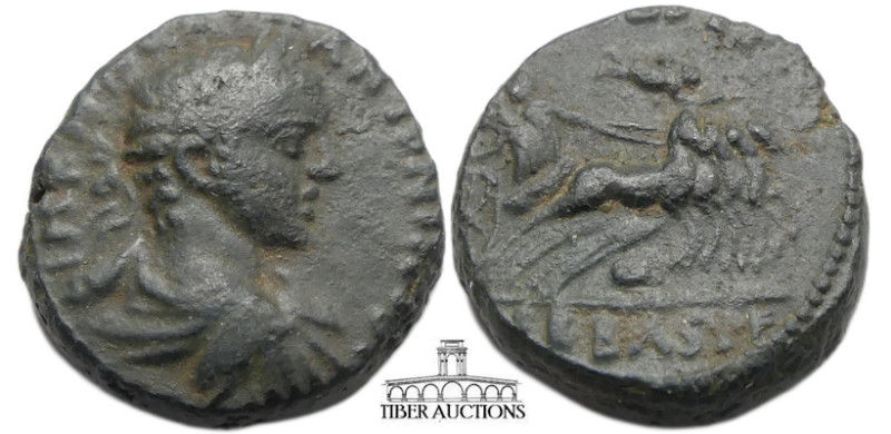 JUDAEA, Sebaste. Elagabalus. 218-222 CE. Æ (22 mm, 10.98 g). Laureate, draped bu...