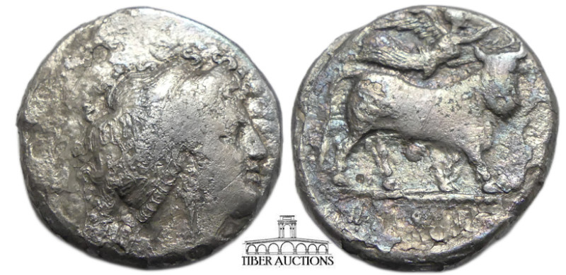 CAMPANIA, Neapolis. Circa 320-300 BC. AR Didrachm (20 mm, 6.77 g). Diademed head...