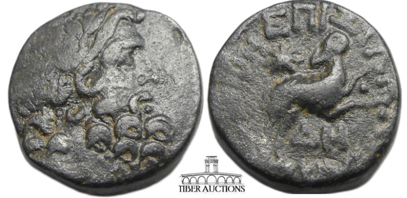 SELEUCIS and PIERIA, Antioch. Augustus. 27 BC-AD 14. Æ (20 mm, 7.27 g). Issue of...