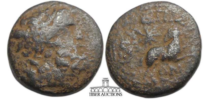 SELEUCIS and PIERIA, Antioch. Augustus. 27 BC-AD 14. Æ (20 mm, 6.71 g). Issue of...