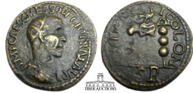 PISIDIA, Antioch. Trajan Decius AD 249-251. Æ (22 mm, 6.14 g). IMP CAES C MESS Q DECIO TRAIA AV, radiate, draped, and cuirassed bust right / ANTIOC-HI...