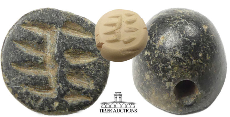 Near East. Circa 2nd -1st Millennium BC. Stamp seal with geometric design. Black...