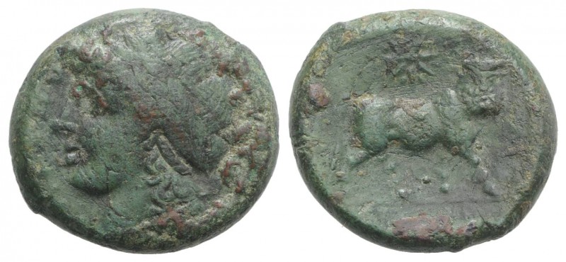 Northern Campania, Cales, c. 265-240 BC. Æ (20mm, 7.28g, 6h). Laureate head of A...