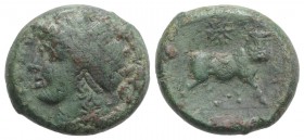 Northern Campania, Cales, c. 265-240 BC. Æ (20mm, 7.28g, 6h). Laureate head of Apollo l.; star to r. R/ Man-headed bull standing r., head facing; star...