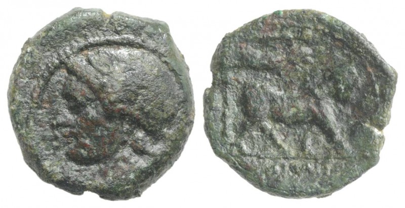 Southern Campania, Neapolis, c. 250-225 BC. Æ (14mm, 2.58g, 9h). Laureate head o...