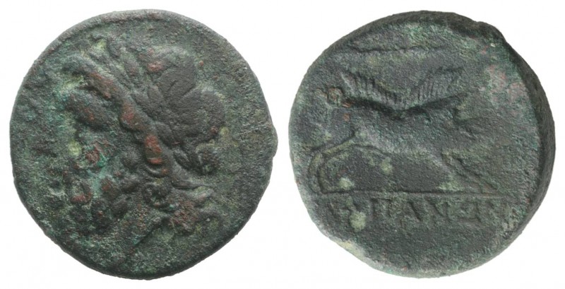Northern Apulia, Arpi, 3rd century BC. Æ (21mm, 7.30g, 9h). Laureate head of Zeu...