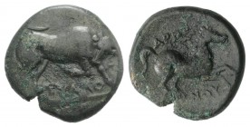 Northern Apulia, Arpi, c. 275-250 BC. Æ (18mm, 4.66g, 9h). Poullos, magistrate. Bull charging r. R/ Horse galloping r. HNItaly 645; SNG ANS 640-3. Gre...
