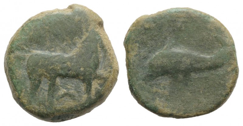Northern Apulia, Salapia, c. 275-250 BC. Æ (19mm, 6.28g, 12h). Horse stepping r....