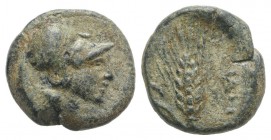 South Italy, Uncertain mint (Teate?), c. 3rd century BC. Æ (12.5mm, 2.10g, 3h). Helmeted head of Athena r. R/ Barley-ear; IA[…]to r. HNItaly -. Possib...