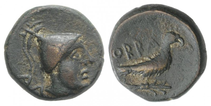 Southern Apulia, Orra, c. 250-225 BC. Æ Unit (15mm, 4.74g, 11h). Head of young m...