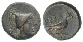 Southern Apulia, Orra, c. 250-225 BC. Æ Unit (15mm, 4.74g, 11h). Head of young male r., wearing conical helmet; AΛ to l. R/ Eagle with closed wings st...