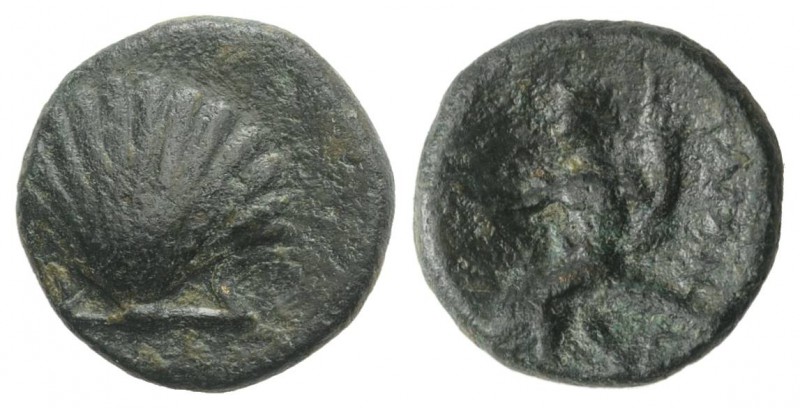Southern Apulia, Tarentum, c. 275-200 BC. Æ (13mm, 2.28g, 12h). Shell. R/ Phalan...