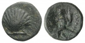 Southern Apulia, Tarentum, c. 275-200 BC. Æ (13mm, 2.28g, 12h). Shell. R/ Phalanthos, holding kantharos and cornucopia, riding dolphin l. Vlasto 1824;...