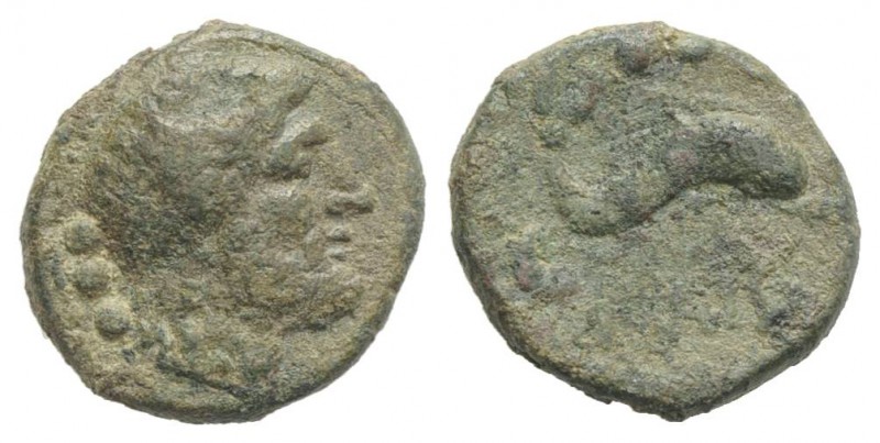 Northern Lucania, Paestum, c. 218-201 BC. Æ Quadrans (13mm, 2.78g, 6h). Diademed...