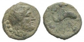 Northern Lucania, Paestum, c. 218-201 BC. Æ Quadrans (13mm, 2.78g, 6h). Diademed and bearded male head r. R/ Dolphin r.; branch below. Crawford 11/2; ...