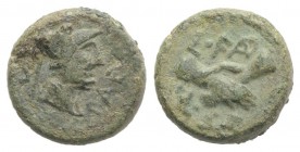 Northern Lucania, Paestum, c. 90-44 BC. Æ Semis (13mm, 3.24g, 6h). Helmeted and draped male bust r. R/ Clasped r. hands. Crawford 32; HNItaly 1250; SN...