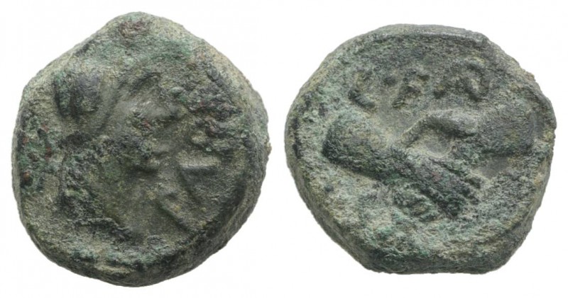 Northern Lucania, Paestum, c. 90-44 BC. Æ Semis (13mm, 4.50g, 7h). Helmeted and ...