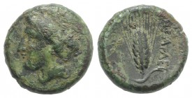 Southern Lucania, Herakleia, c. 281-272 BC. Æ (18mm, 5.38g, 2h). Head of Demeter l. R/ Grain-ear. Van Keuren 153; HNItaly 1442; cf. SNG ANS 99. Green ...