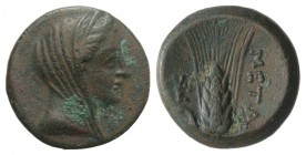 Southern Lucania, Metapontion, c. 300-250 BC. Æ (15mm, 2.63g, 11h). Veiled head of Demeter r., wearing stephane. R/ Grain ear with bud to l.; monogram...