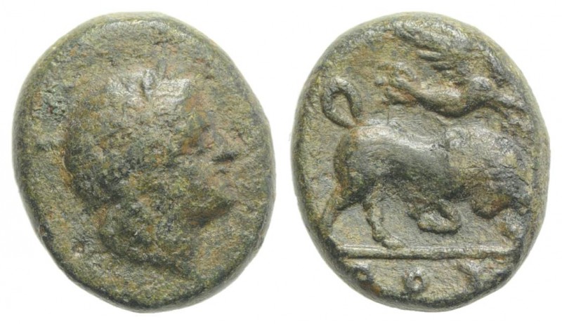 Southern Lucania, Thourioi, c. early 3rd century BC. Æ (11mm, 2.19g, 6h). Laurea...