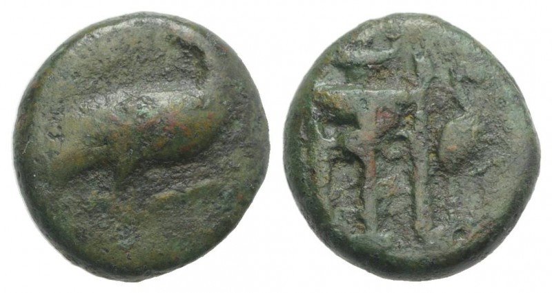 Bruttium, Kroton, c. 375-325 BC. Æ (13mm, 3.07g, 6h). Eagle standing r., head re...