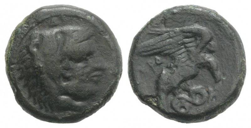 Bruttium, Kroton, c. 350-300 BC. Æ (18mm, 6.82g, 9h). Head of Herakles r., weari...