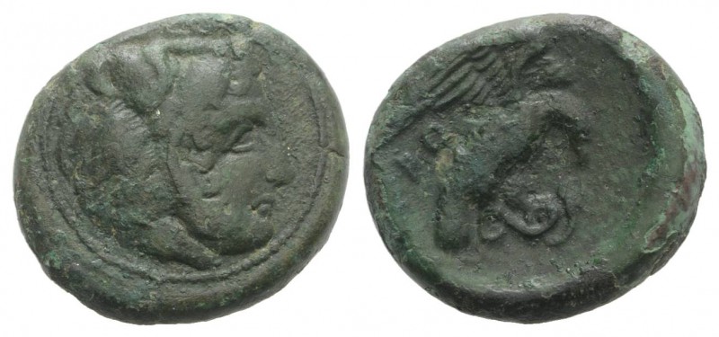 Bruttium, Kroton, c. 350-300 BC. Æ (20mm, 7.64g, 12h). Head of Herakles r., wear...