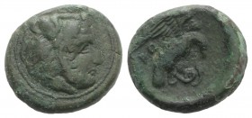 Bruttium, Kroton, c. 350-300 BC. Æ (20mm, 7.64g, 12h). Head of Herakles r., wearing lion skin. R/ Eagle r., alighting on snake. HNItaly 2218; SNG ANS ...
