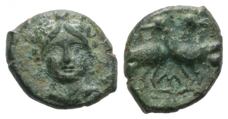Bruttium, Laos, c. 350-300 BC. Æ (14mm, 2.13g, 1h). Female head facing (Demeter?...