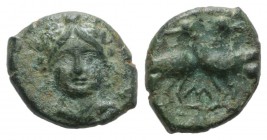 Bruttium, Laos, c. 350-300 BC. Æ (14mm, 2.13g, 1h). Female head facing (Demeter?). R/ Two birds crossing paths; M below. HNItaly 2302; SNG ANS 154-5. ...