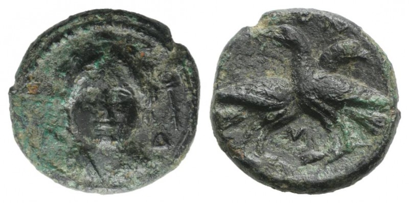 Bruttium, Laos, c. 350-300 BC. Æ (14mm, 2.84g, 12h). Female head facing (Demeter...