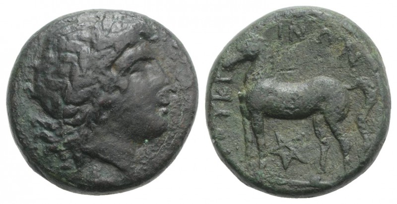 Bruttium, Nuceria, c. 225-200 BC. Æ (20mm, 9.33g, 9h). Laureate head of Apollo r...