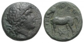 Bruttium, Nuceria, c. 225-200 BC. Æ (20mm, 9.33g, 9h). Laureate head of Apollo r. R/ Horse standing l.; pentagram below. HNItaly 2438; SNG ANS 595–7. ...