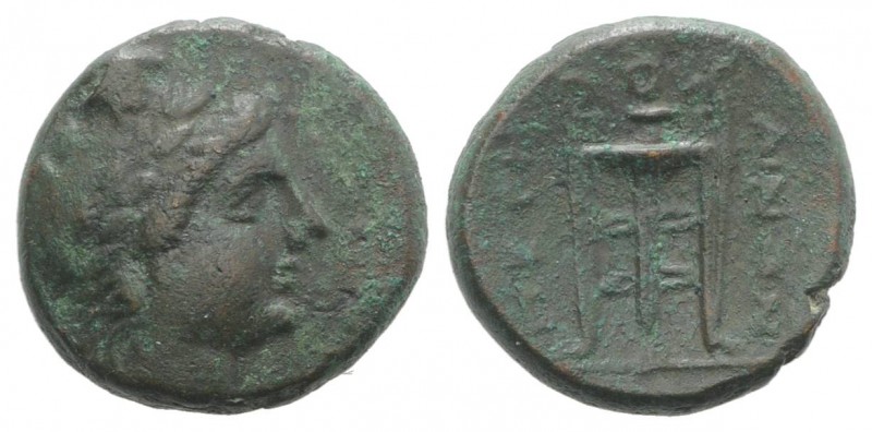 Bruttium, Petelia, late 3rd century BC. Æ (17mm, 5.35g, 7h). Laureate head of Ap...