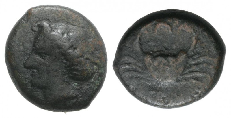 Bruttium, Terina, c. 350-275 BC. Æ (15mm, 4.14g, 11h). Head of nymph l. R/ Crab;...