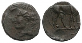 Carthaginian Domain, Sardinia, c. 216 BC. Æ (19mm, 3.96g, 6h). Wreathed head of Kore-Tanit l.; letter below chin. R/ Bull standing r.; star above; let...