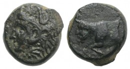 Sicily, Agyrion, c. 355-339 BC. Æ (13mm, 3.68g, 6h). Head of Herakles l., wearing lion skin. R/ Forepart of man-headed bull advancing l. Campana 5A/a;...