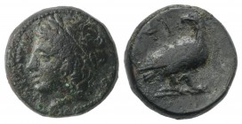 Sicily, Akragas. Phintias (287-279 BC). Æ (14mm, 4.36g, 3h). Laureate head of Apollo l. R/ Eagle standing r., looking back. CNS I, 119; SNG ANS 1125-6...