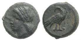 Sicily, Akragas. Phintias (287-279 BC). Æ (13mm, 2.96g, 9h). Laureate head of Apollo l. R/ Eagle standing r., looking back. CNS I, 119; SNG ANS 1125-6...