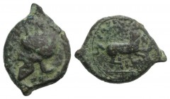 Sicily, Entella. Campanian mercenaries, c. 342-339 BC. Æ (17mm, 2.38g, 9h). Campanian helmet l. R/ Horse galloping r. Campana 9; CNS I, 5; SNG ANS -; ...