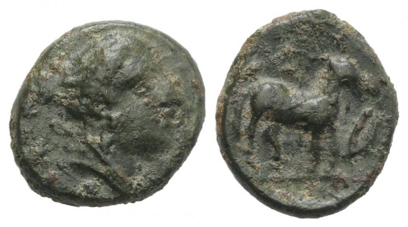 Sicily, Eryx, c. 4th century BC. Æ Onkia(?) (13mm, 1.92g, 5h). Female head r. R/...
