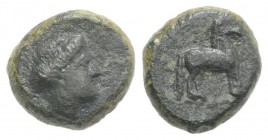 Sicily, Eryx, c. 4th century BC. Æ Onkia(?) (9mm, 1.59g, 9h). Female head r. R/ Horse standing r. Campana 48b; CNS I, 16; SNG ANS -; HGC 2, 329. Rare,...