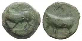 Sicily, Halykiai, c. 390-370 BC. Æ Tetras or Trionkion (15mm, 4.33g, 1h). Man-headed bull l. R/ Boar l. CNS I, 44 (Himera?); SNG ANS -; HGC 2, 493 (Hi...