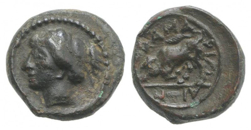 Sicily, Kamarina, c. 339/8-300 BC. Æ (12mm, 2.03g, 11h). Female head l. R/ Bull ...