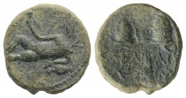 Sicily, Katane, 2nd-1st century BC. Æ (16mm, 4.60g, 12h). River-god Amenanos, holding rhyton, reclining l. on amphora. R/ Caps of the Dioskouroi; lion...