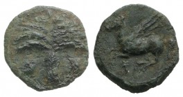 Sicily, Carthaginian Domain, c. 330-320 BC. Æ (13mm, 1.88g, 1h). Palm tree. R/ Pegasos flying l. CNS III, 18; SNG Copenhagen 107; HGC 2, 1672. Green p...