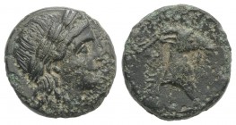 Aeolis, Aigai, 4th-3rd centuries BC. Æ (15mm, 3.47g, 12h). Laureate head of Apollo r. R/ Head of goat r. SNG Copenhagen 1; SNG von Aulock 1592. Green ...