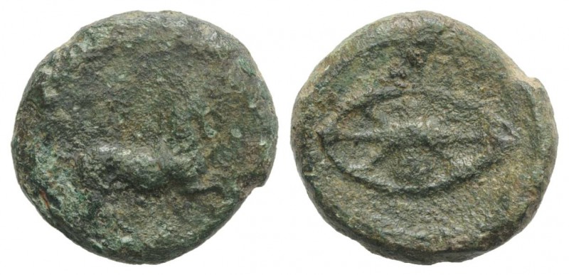 Kyrene, time of Ophellas (Ptolemaic governor, c. 322-313 BC). Æ (14mm, 3.30g). N...